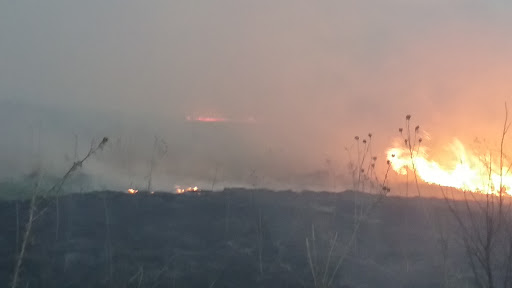 Nature Preserve «Jacob Krumm Nature Preserve», reviews and photos, 15148 Jacob Ave, Grinnell, IA 50112, USA