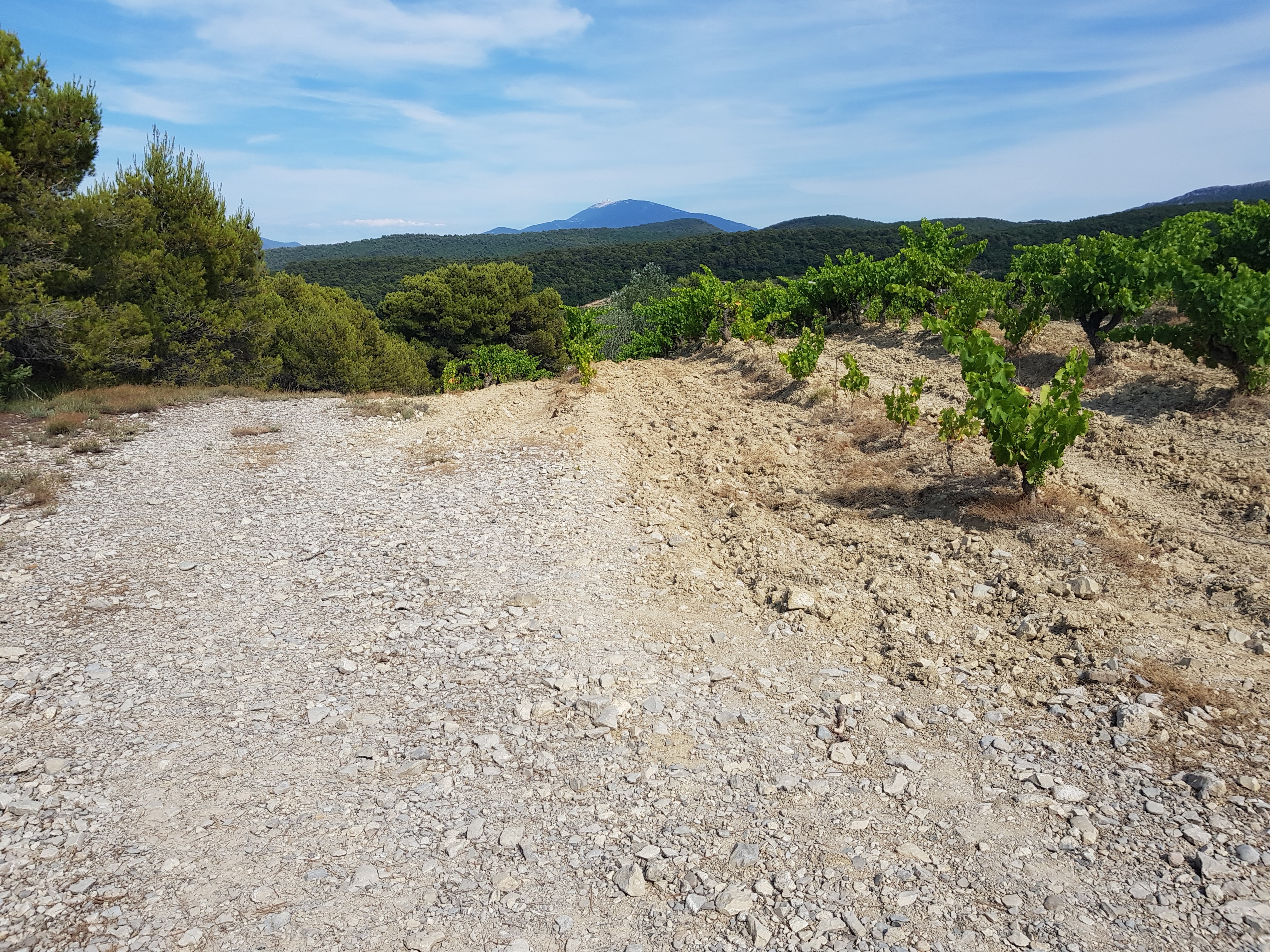 Photo n° 2 de l'avis de Luuk.a fait le 19/07/2019 à 09:51