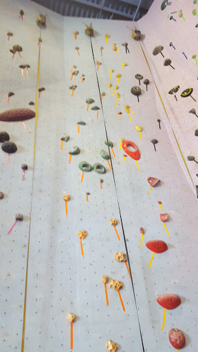 Rock Climbing «Planet Rock Climbing Gym», reviews and photos, 1103 W 13 Mile Rd, Madison Heights, MI 48071, USA