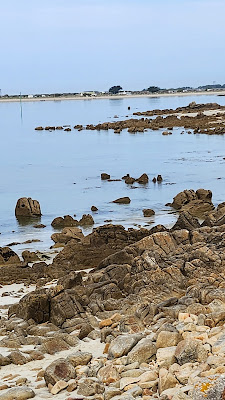 Pêche à pied à La Trinité-sur-Mer