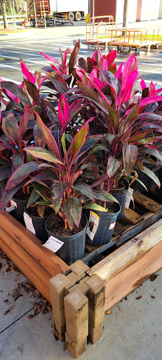 Home Improvement Store «The Home Depot», reviews and photos, 1670 W Orange Blossom Trail, Apopka, FL 32712, USA