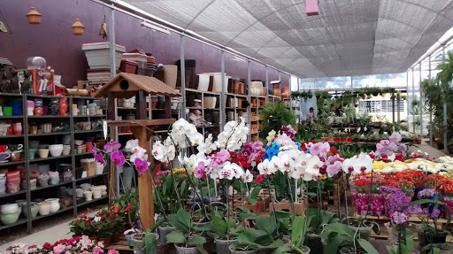 Logo da empresa - Winterflor