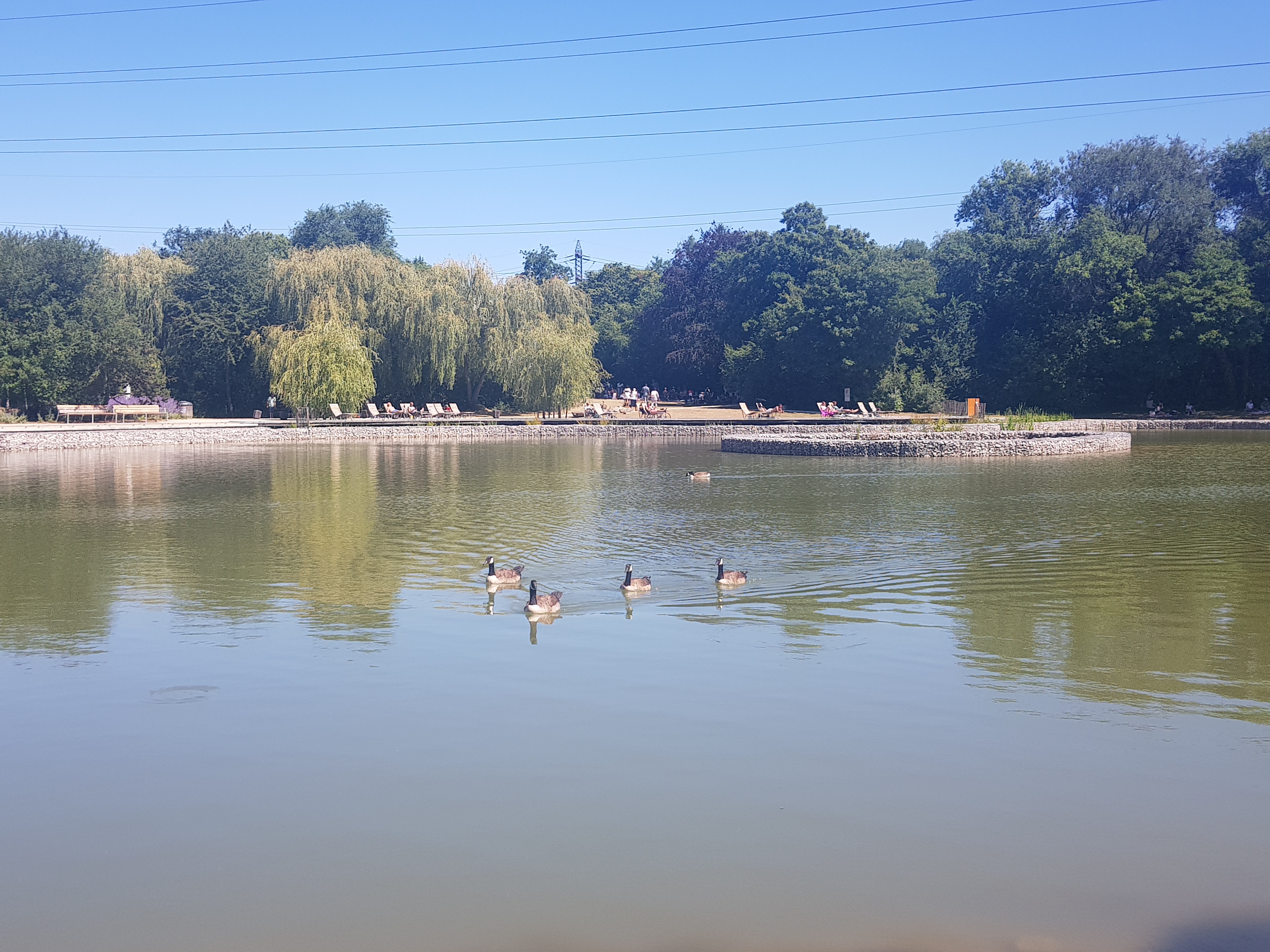Photo n° 2 de l'avis de MATHIOT.Y fait le 29/07/2022 à 16:06