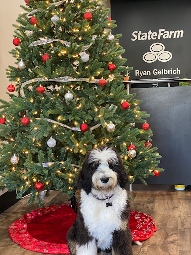 Insurance Agency «Ryan Gelbrich - State Farm Insurance Agent», reviews and photos
