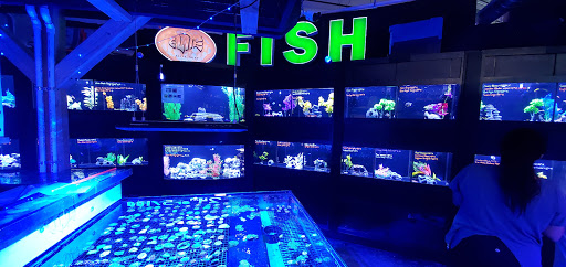 Tropical Fish Store «Elite Reef», reviews and photos, 8410 Wadsworth Blvd F, Arvada, CO 80003, USA