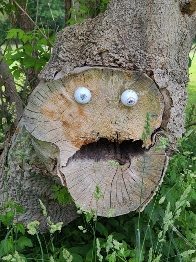 Golf Club «Fellows Creek Golf Course», reviews and photos, 2936 S Lotz Rd, Canton, MI 48188, USA