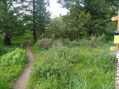 Mill Creek Trail