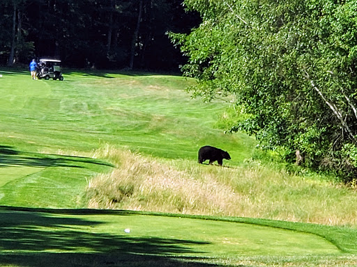 Golf Course «Blue Ridge Trail Golf Club», reviews and photos, 260 Country Club Dr, Mountain Top, PA 18707, USA