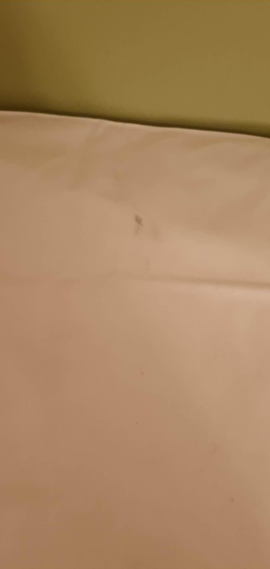 Photo n° 2 de l'avis de Biba. fait le 14/03/2023 à 18:26