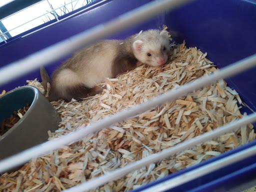 Pet Store «Pet Cove», reviews and photos, 820 E Center St, Kingsport, TN 37660, USA