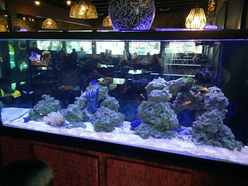 Pet Store «Reef Valley», reviews and photos, 101 N McColl Rd #4, McAllen, TX 78501, USA