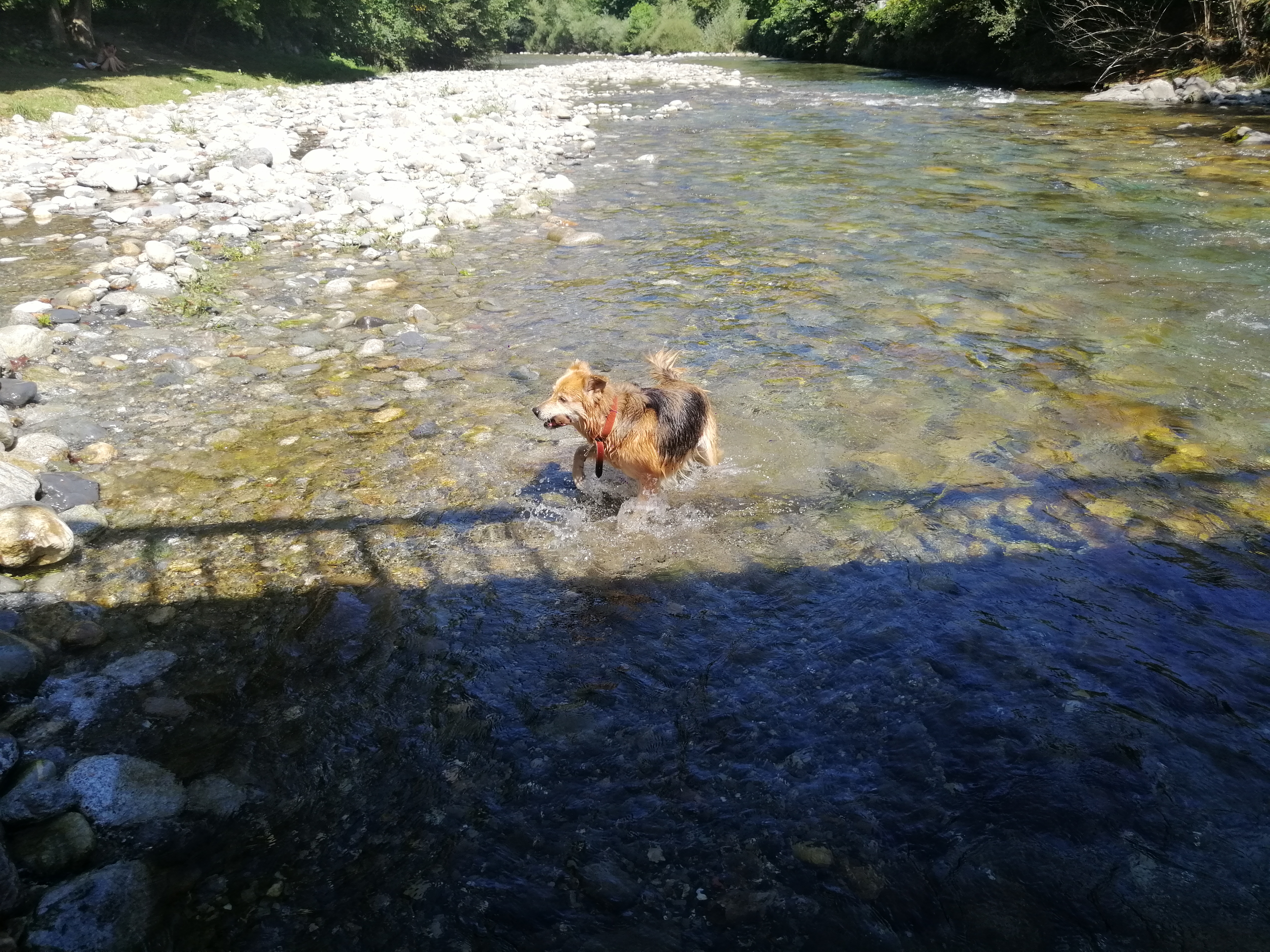 Photo n° 2 de l'avis de Carlos.o fait le 23/08/2023 à 13:22