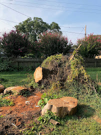 Liberty Tree - Photo 7 - Car repair in Fort Smith, AR, Fort Smith