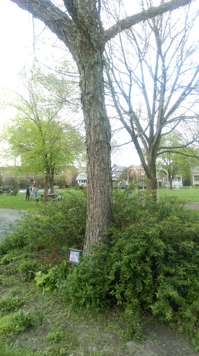 Park «Lou Berliner Park», reviews and photos, 1300 Deckenbach Rd, Columbus, OH 43223, USA