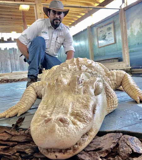 Amusement Park «Gatorland», reviews and photos, 14501 S Orange Blossom Trail, Orlando, FL 32837, USA