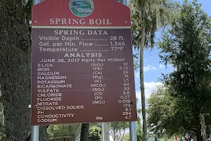 Green Cove Springs City Pool image