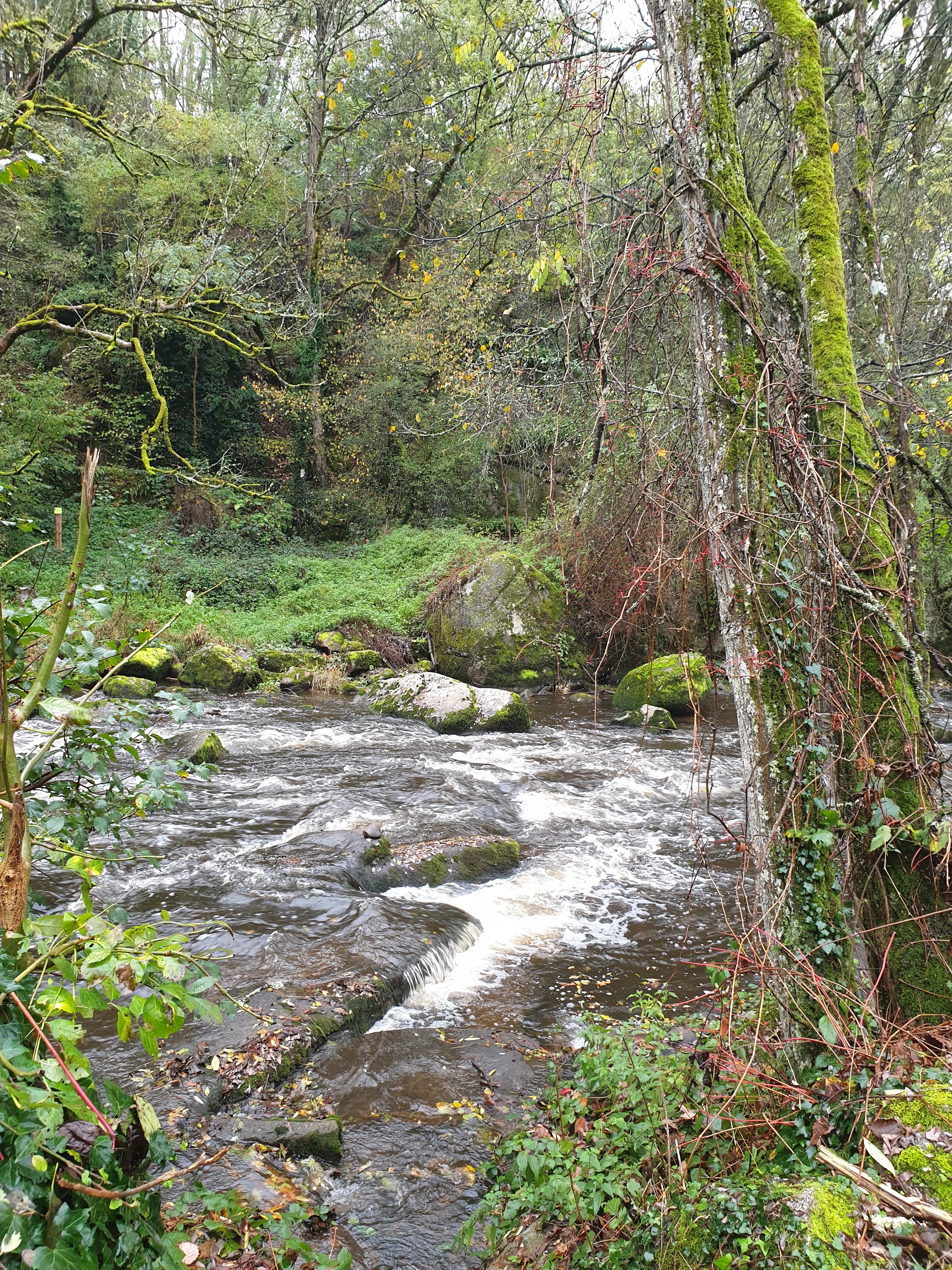 Photo n° 1 de l'avis de Patricia.a fait le 24/10/2022 à 14:15