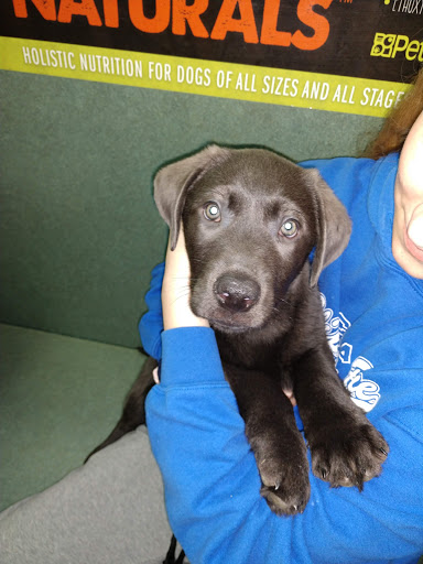 Shopping Mall «Iowa City Marketplace», reviews and photos, 1660 Sycamore St, Iowa City, IA 52240, USA