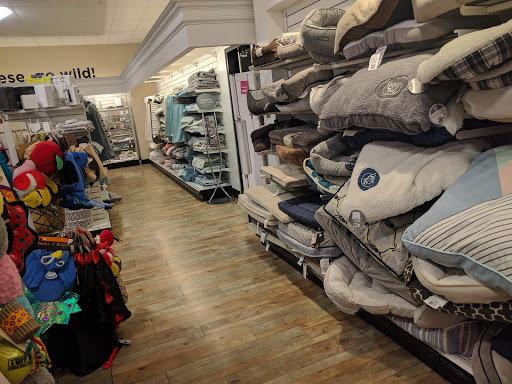 Department Store «HomeGoods», reviews and photos, 7775 W Bell Rd, Peoria, AZ 85382, USA