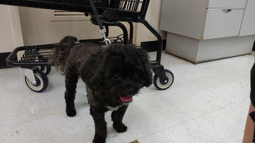 Pet Supply Store «Pet Supplies Plus», reviews and photos, 5394 Kemps River Dr Suite 101, Virginia Beach, VA 23464, USA