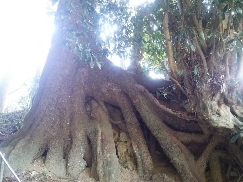 穆佐神社