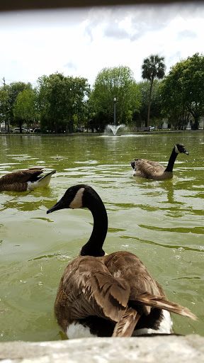 Park «Riverside Park», reviews and photos, 753 Park St, Jacksonville, FL 32204, USA