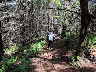 Old Growth and New Growth Trails