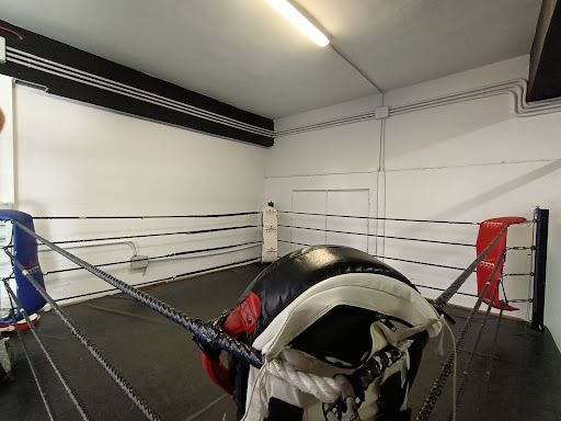 Boxeo impacto en Alcalá de Guadaíra, Sevilla