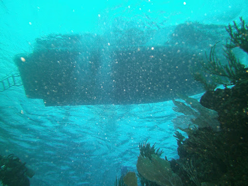 SCUBA Instructor «Anchor Bay Scuba Inc.», reviews and photos, 8655 Dixie Hwy, Fair Haven, MI 48023, USA