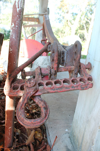 Winery «Dakotah Vineyards & Winery», reviews and photos, 14365 US-19, Chiefland, FL 32626, USA