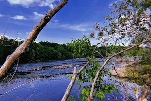 Coosa River Adventures Inc image