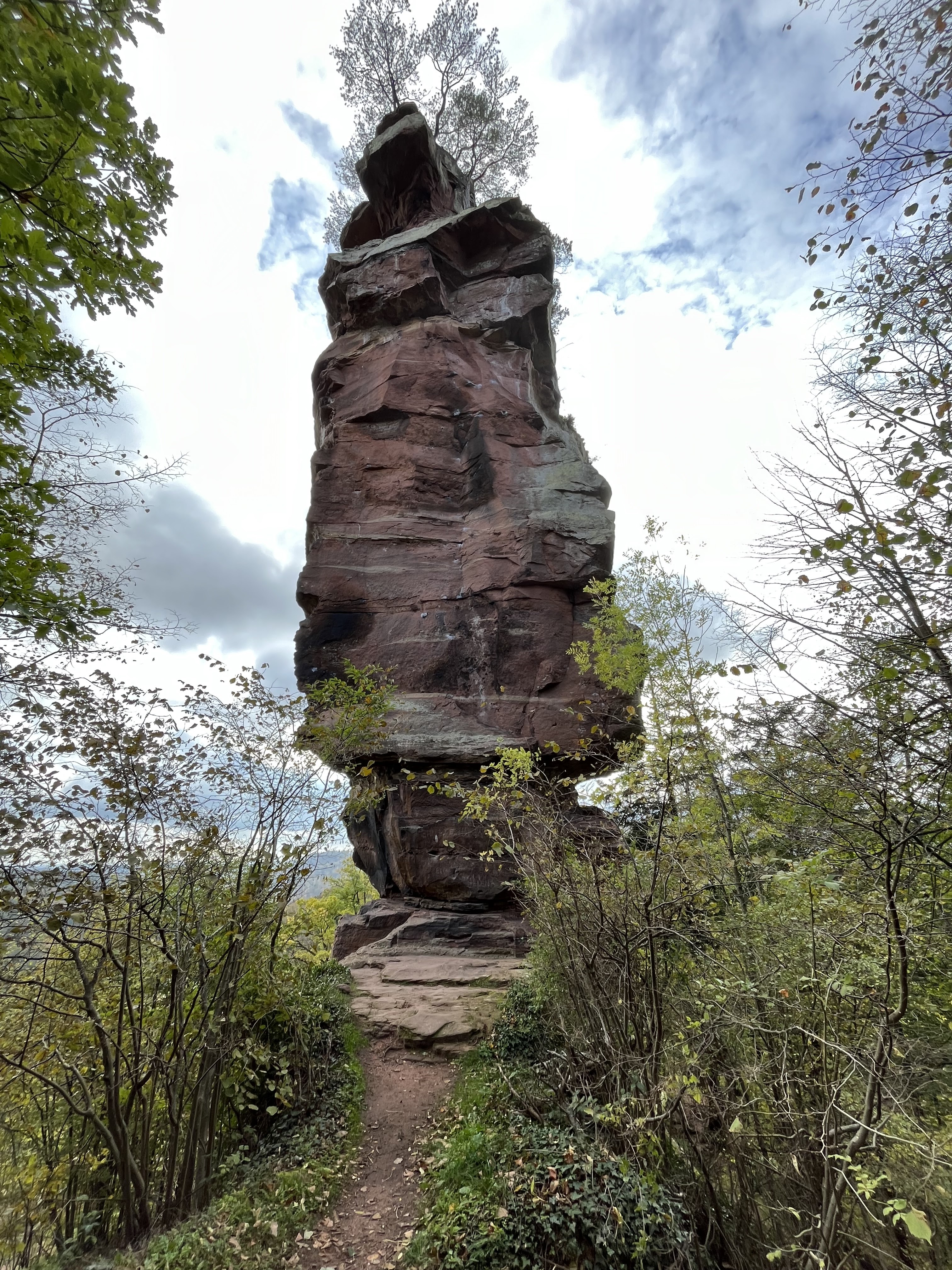 Photo n° 4 de l'avis de Audrey.r fait le 06/11/2022 à 05:24