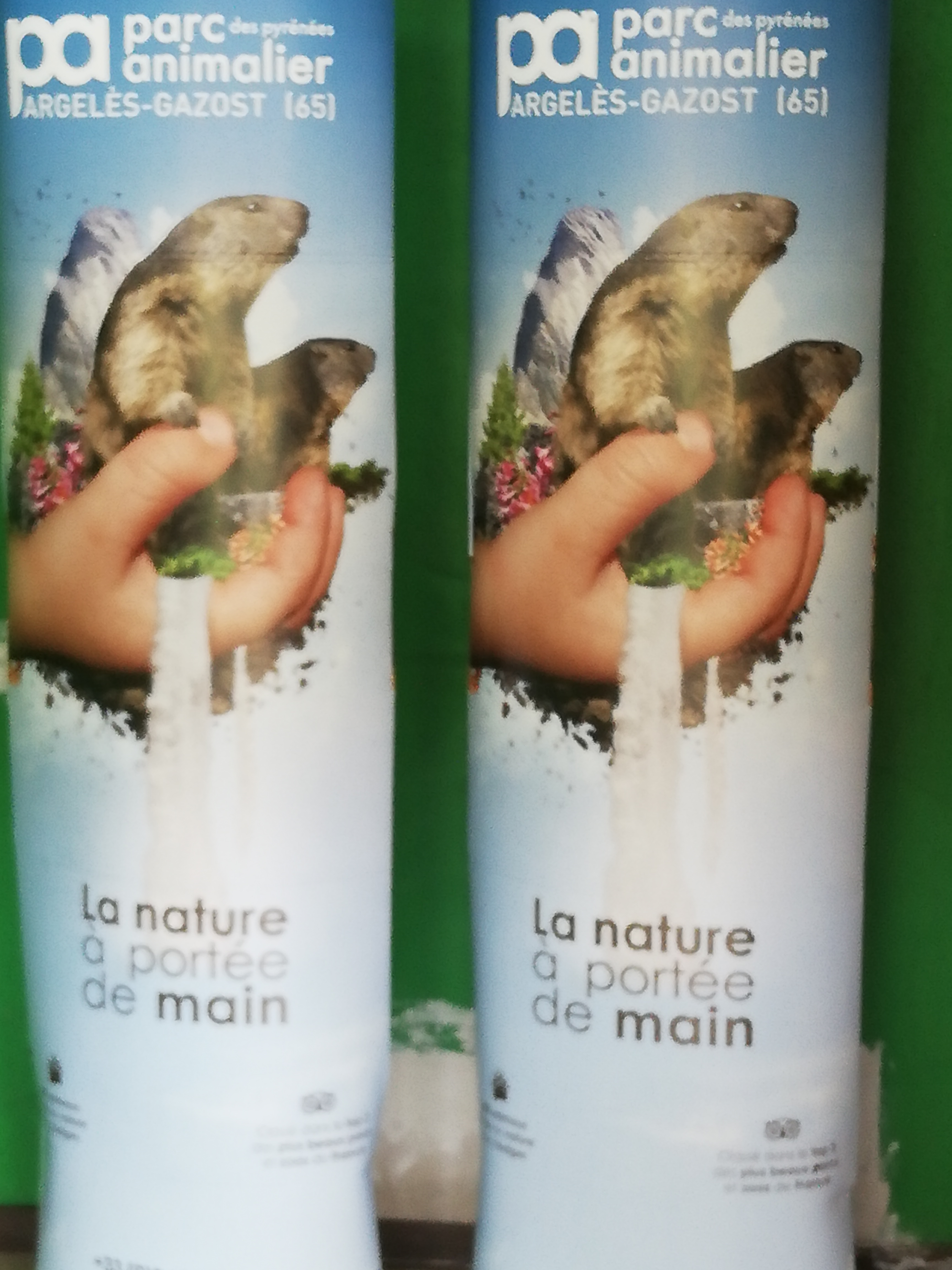 Photo n° 14 de l'avis de Soleil. fait le 20/08/2020 à 12:36