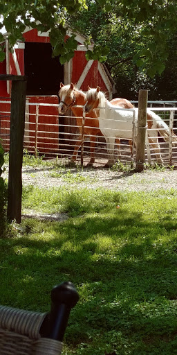 Zoo «Cricket Hollow Zoo», reviews and photos, 1512 210th St, Manchester, IA 52057, USA