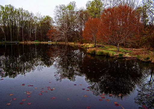 Park «Ellanor C. Lawrence Park», reviews and photos, 5040 Walney Rd, Chantilly, VA 20151, USA