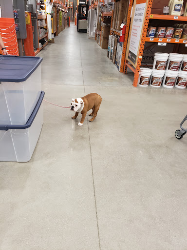 Home Improvement Store «The Home Depot», reviews and photos, 2421 Old Taylor Rd, Chesapeake, VA 23321, USA