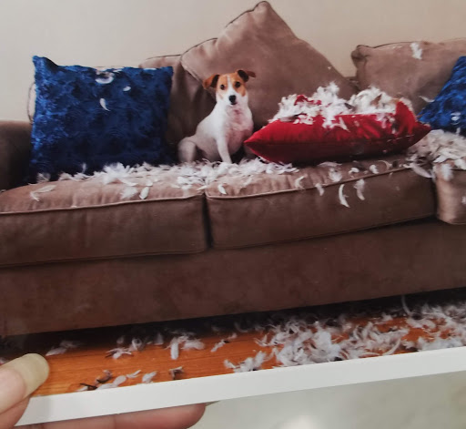 Shopping Mall «Sunset Square Shopping Center», reviews and photos, 1518 Austin Hwy, San Antonio, TX 78218, USA