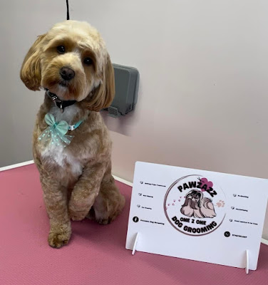 Pawzazz Dog Grooming