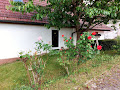 Photo Ferienwohnung Haus Marx 97762 Hammelburg (miniature)