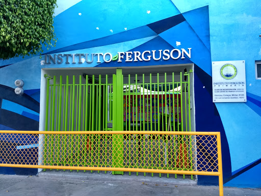 Instituto Ferguson