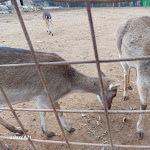 Photo n°3 de l'avis de Ennio.a fait le 29/12/2023 à 12:20 sur le  Azienda Agricola Fratelli Riboldi à Tregasio