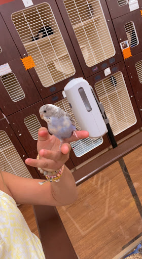 Pet Store «Petland», reviews and photos, 1600 Turner McCall Blvd, Rome, GA 30161, USA