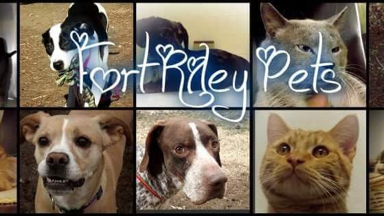 Fort Riley Stray Facility ( Fort Riley Pets)