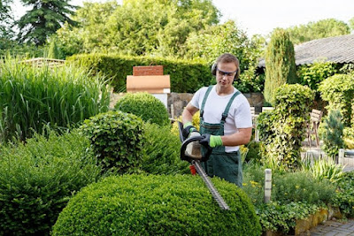 Maison et Services Caen | Ménage, repassage, jardinage, nettoyage des vitres à Caen