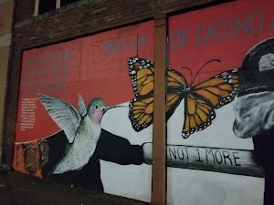 Tacoma Comedy Club - photo 90