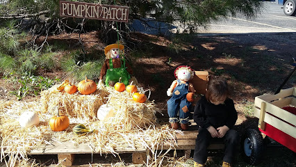 Pumpkin Patch Pre-School