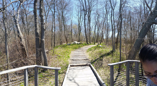 Park «Acushnet Sawmill», reviews and photos, 32 Mill Rd, Acushnet, MA 02743, USA