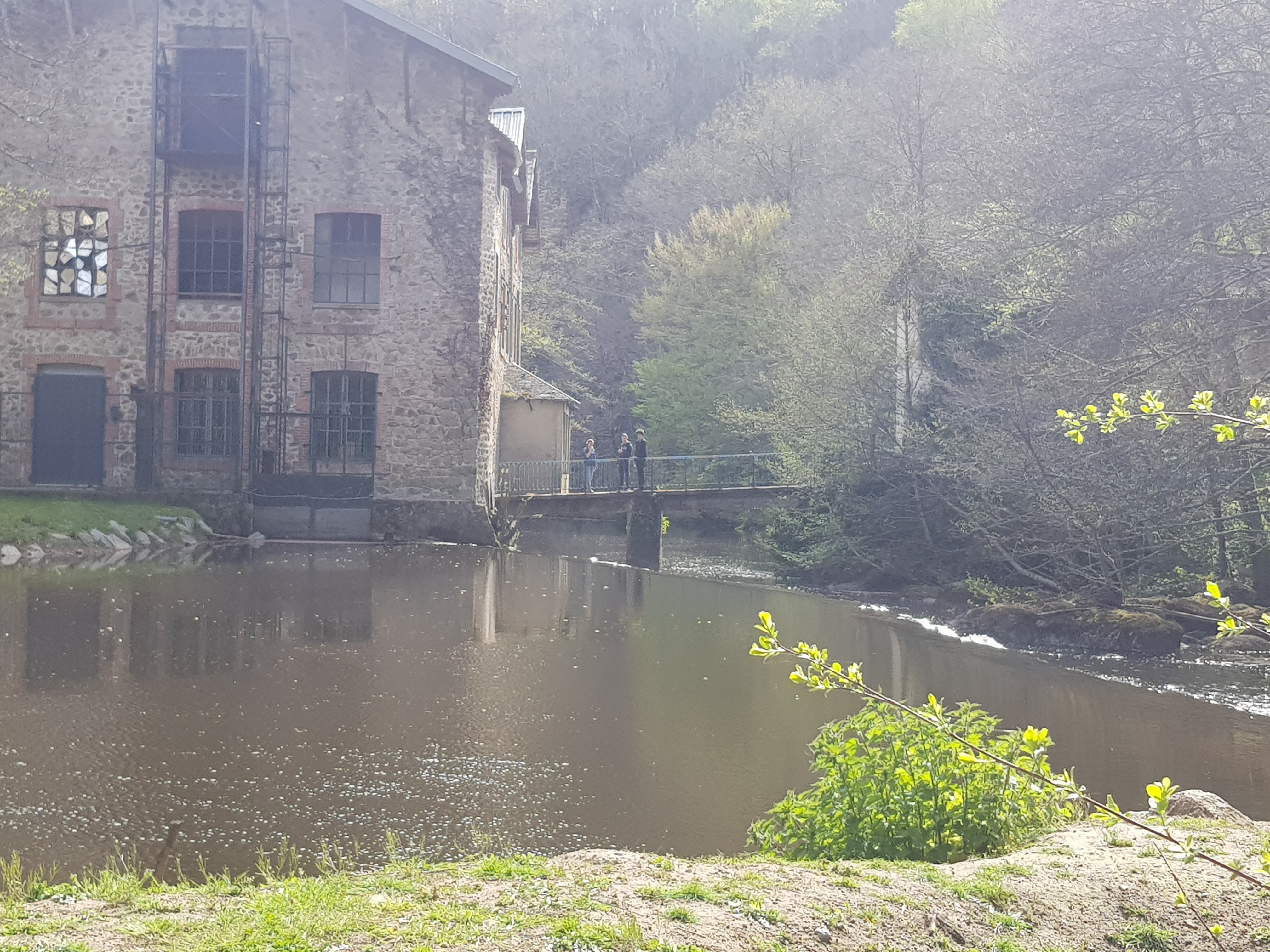 Photo n° 19 de l'avis de zaz.o fait le 24/04/2019 à 04:46