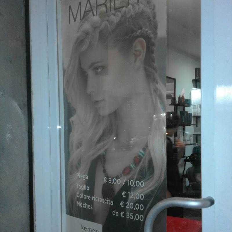 Marilyn Hair Profession