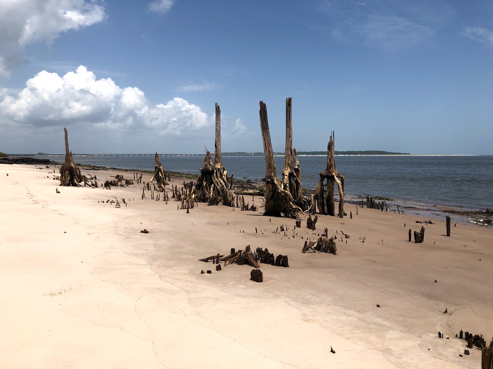 Foto van Boneyard beach gelegen in een natuurlijk gebied